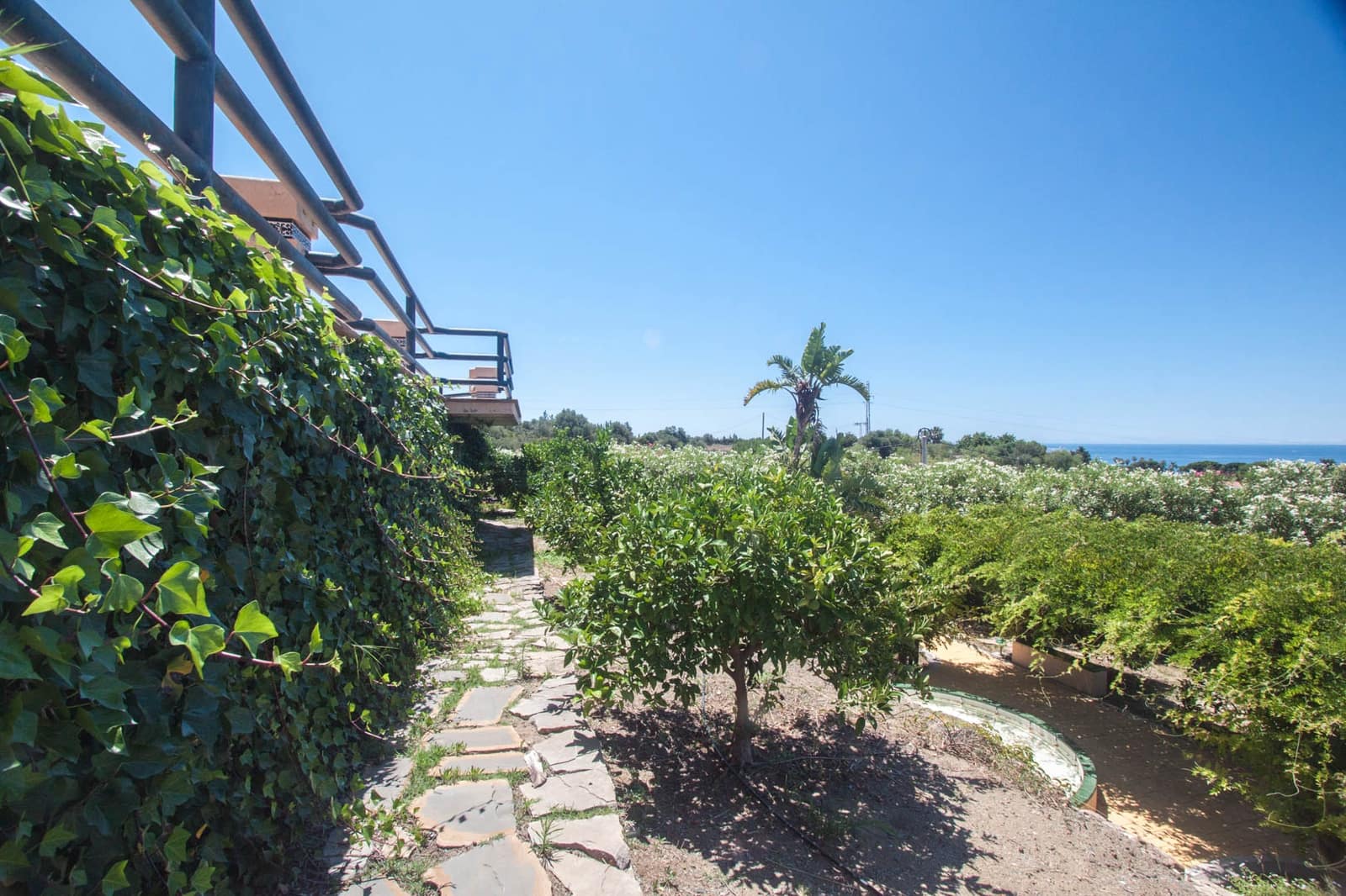 4 soveværelse Finca/Landehus til salg i Estepona med swimmingpool garage - € 2.450.000 (Ref: 7656198)