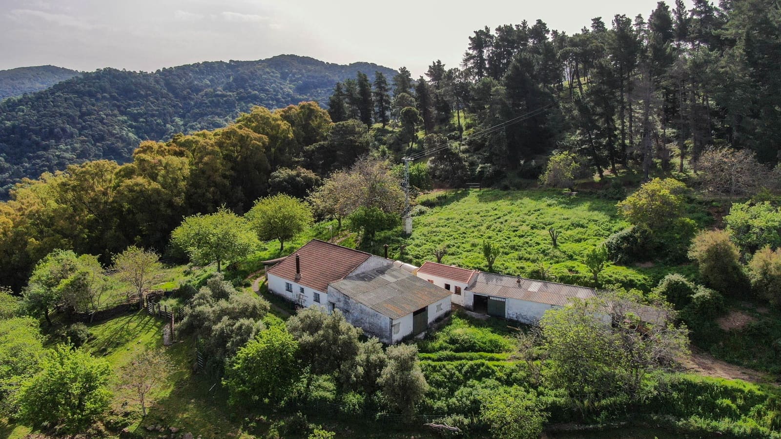 Finca/Landehus til salg i Gaucin - € 1.500.000 (Ref: 9009104)