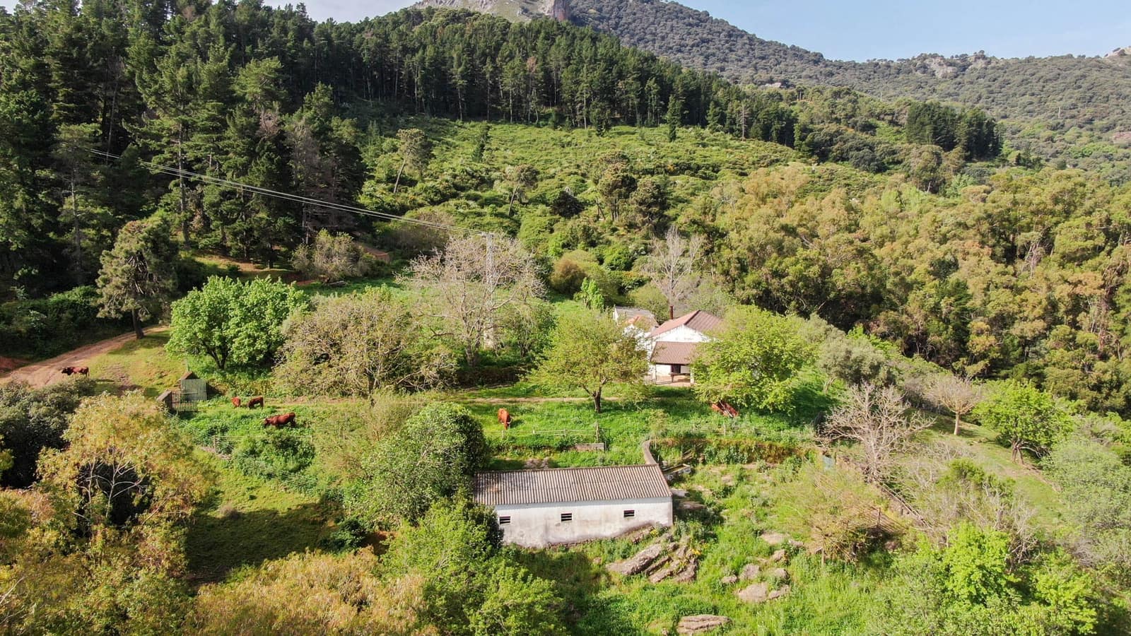 Finca/Landehus til salg i Gaucin - € 1.500.000 (Ref: 9009104)