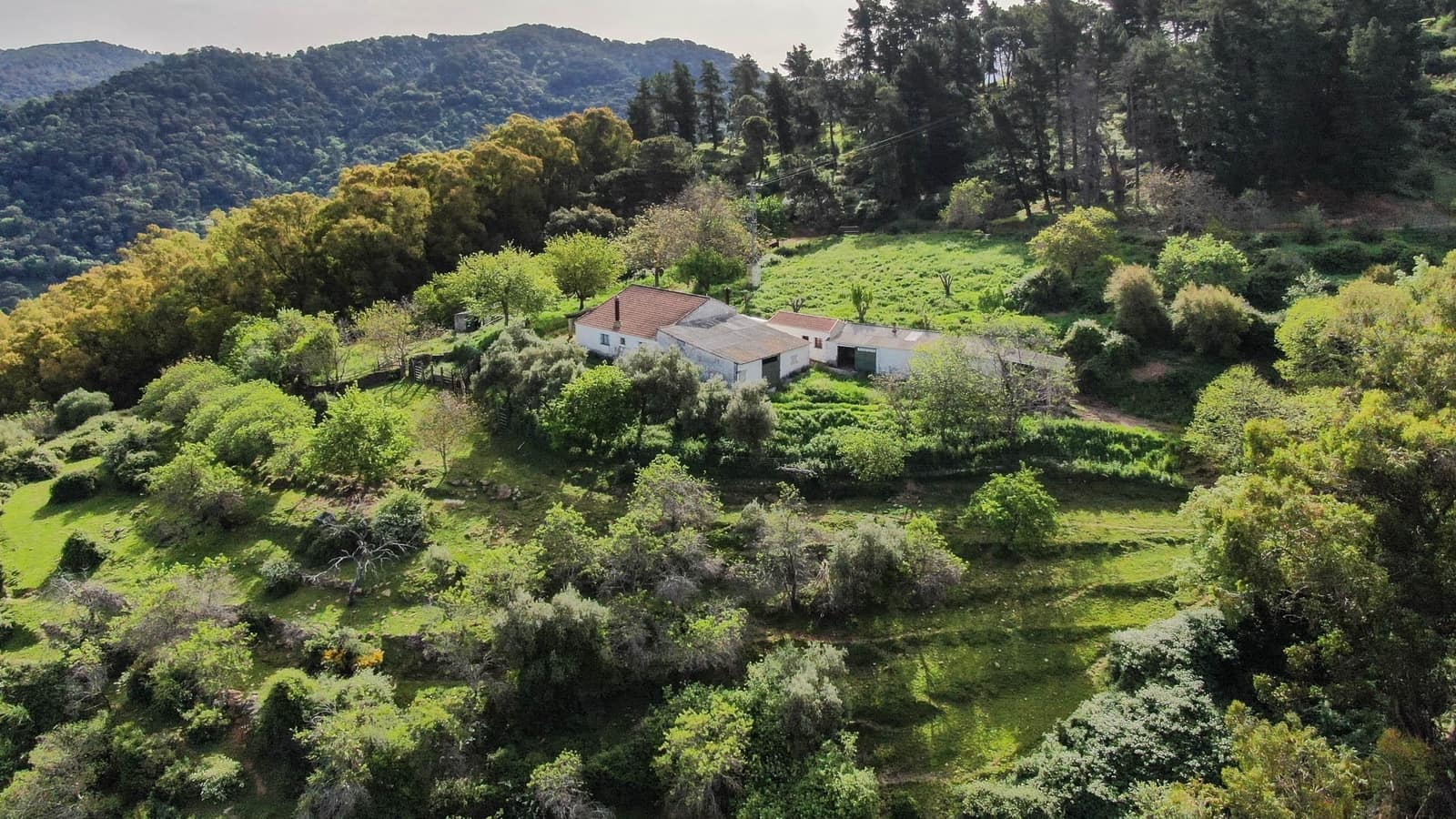 Finca/Landehus til salg i Gaucin - € 1.500.000 (Ref: 9009104)