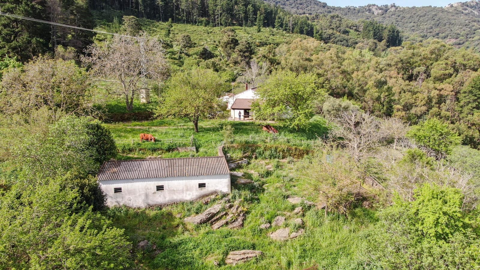 Finca/Landehus til salg i Gaucin - € 1.500.000 (Ref: 9009104)