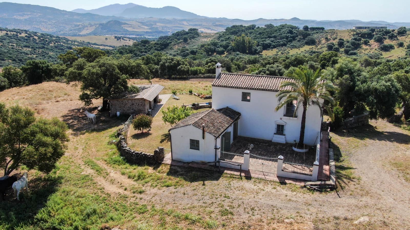 5 soveværelse Finca/Landehus til salg i Jimena de la Frontera med swimmingpool - € 1.575.000 (Ref: 9194289)