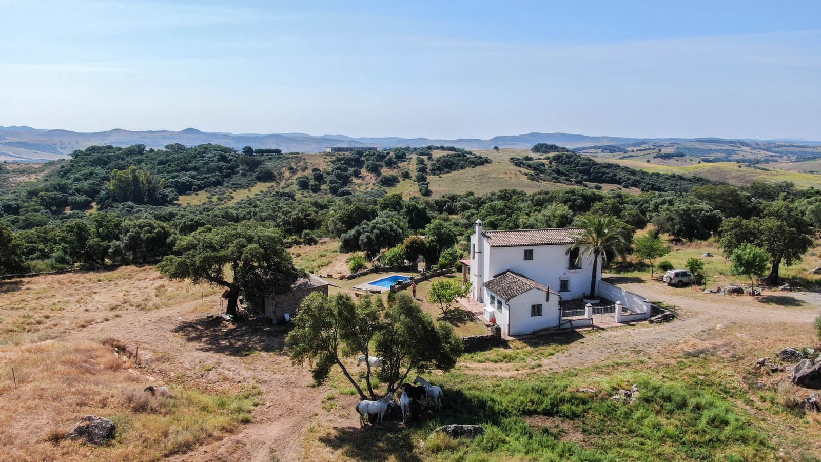5 soveværelse Finca/Landehus til salg i Jimena de la Frontera med swimmingpool - € 1.575.000 (Ref: 9194289)