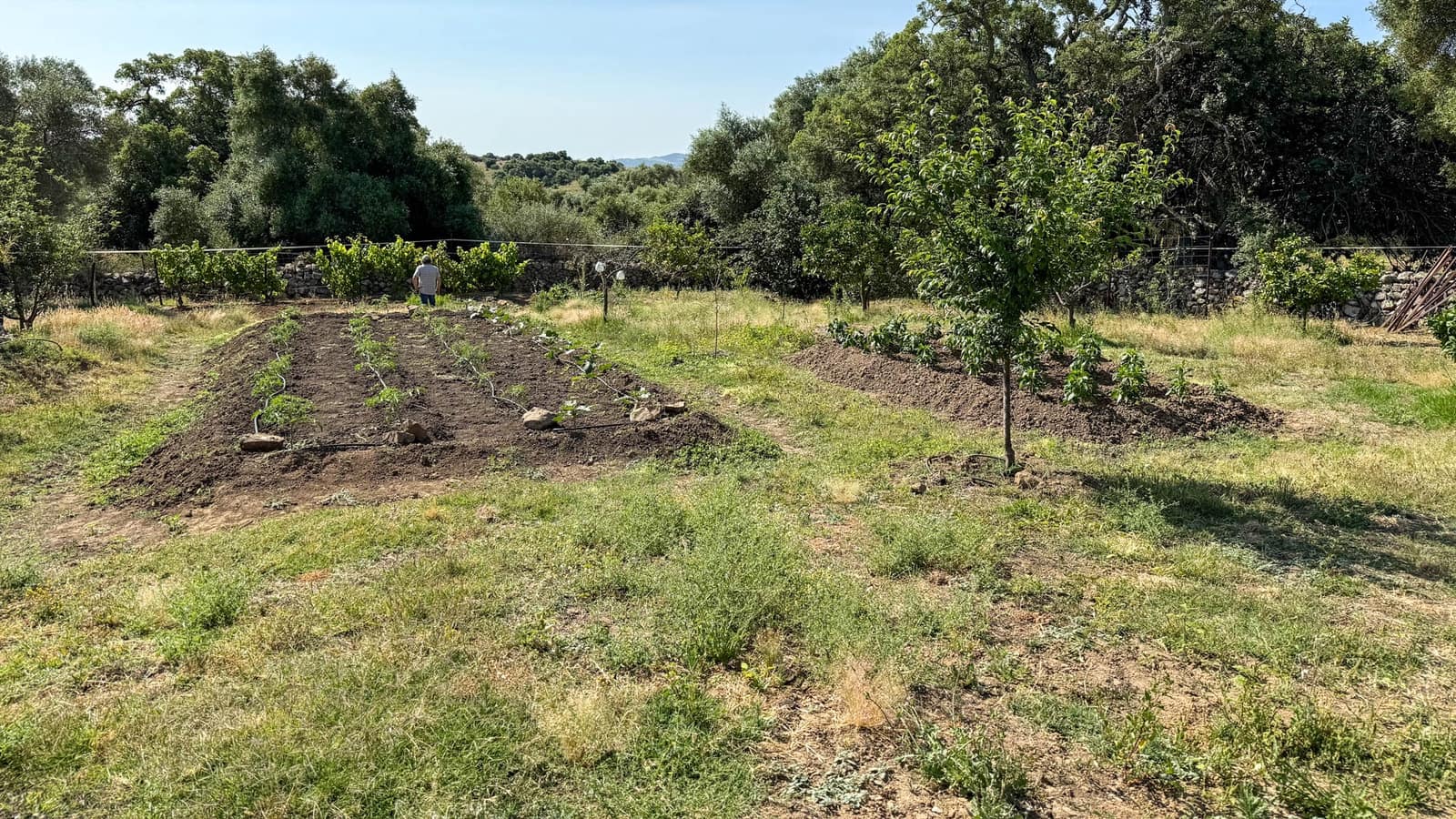 5 soveværelse Finca/Landehus til salg i Jimena de la Frontera med swimmingpool - € 1.575.000 (Ref: 9194289)