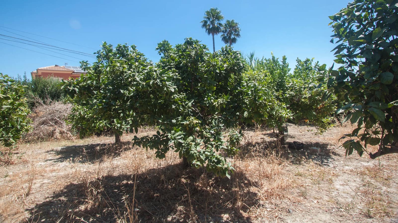 4 slaapkamer Villa te koop in Estepona met zwembad garage - € 2.400.000 (Ref: 9231254)