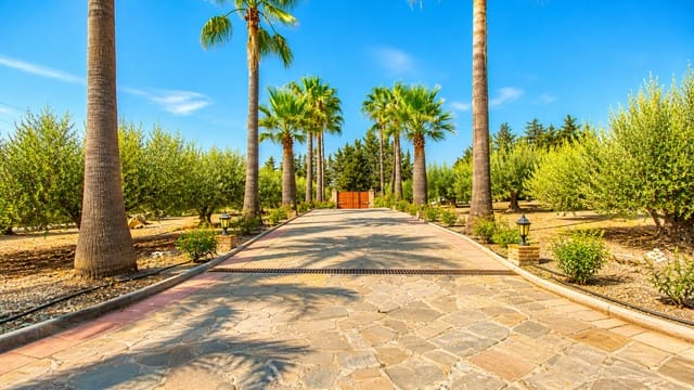 3 slaapkamer Finca/Landhuis te koop in Estepona met zwembad garage - € 2.000.000 (Ref: 9378089)