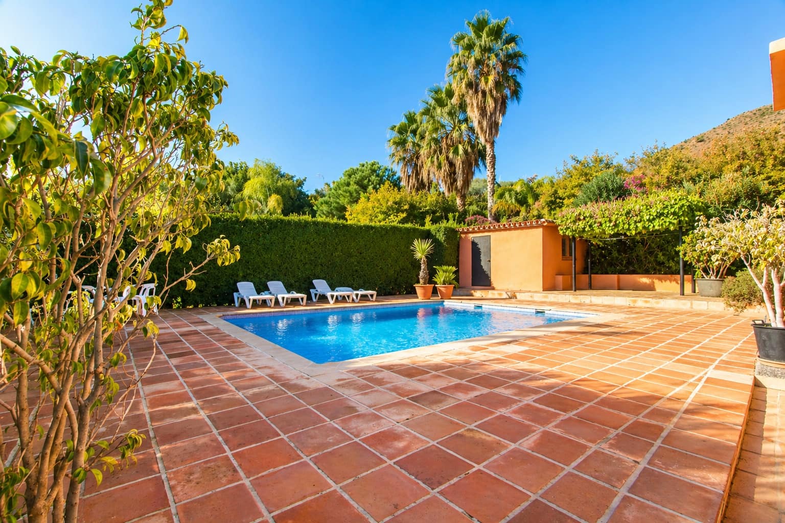 4 bedroom Finca/Country House for sale in Estepona with pool garage - € 795,000 (Ref: 9436417)