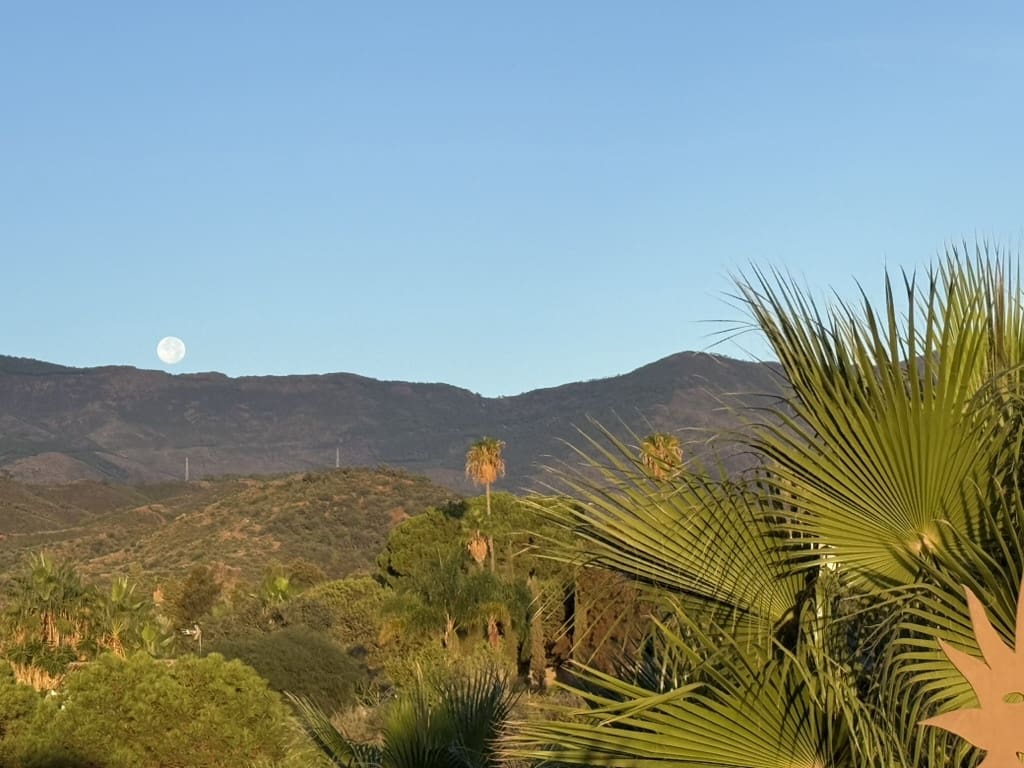 3 chambre Finca/Maison de Campagne à vendre à Estepona avec piscine garage - 875 000 € (Ref: 9779087)