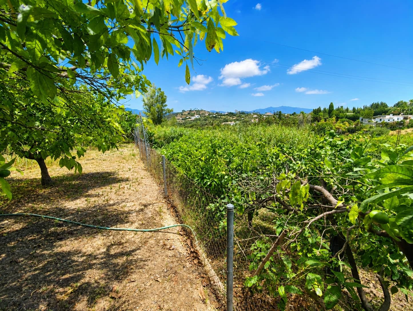 5 camera da letto Finca/Casa di Campagna in vendita in Estepona con piscina garage - 1.600.000 € (Rif: 9948597)
