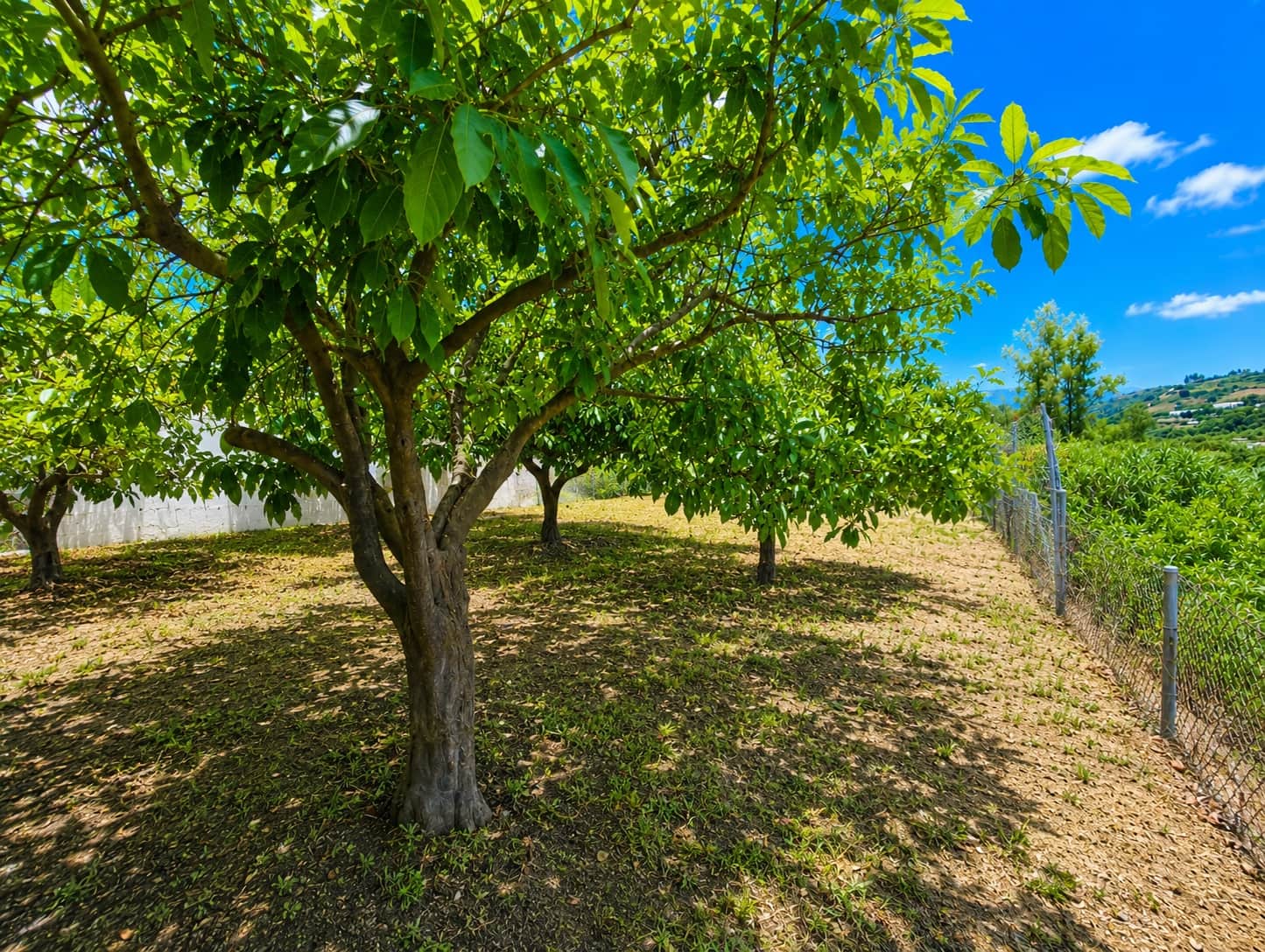 5 camera da letto Finca/Casa di Campagna in vendita in Estepona con piscina garage - 1.600.000 € (Rif: 9948597)