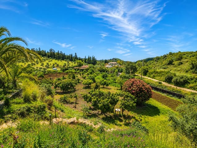 6 soverom Finca/Herregård til salgs i Estepona med svømmebasseng garasje - € 900 000 (Ref: 9968405)