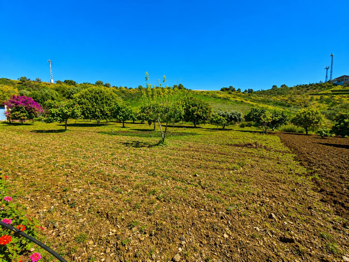 6 bedroom Finca/Country House for sale in Estepona with pool garage - € 900,000 (Ref: 9968405)