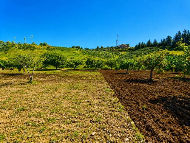 6 soverom Finca/Herregård til salgs i Estepona med svømmebasseng garasje - € 900 000 (Ref: 9968405)