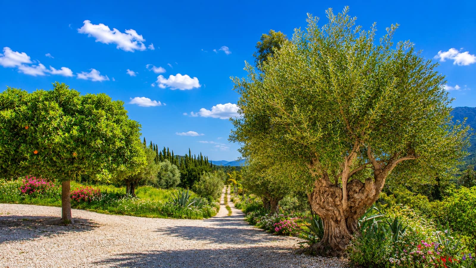 8 bedroom Finca/Country House for sale in Gaucin with pool garage - € 2,490,000 (Ref: 9974261)