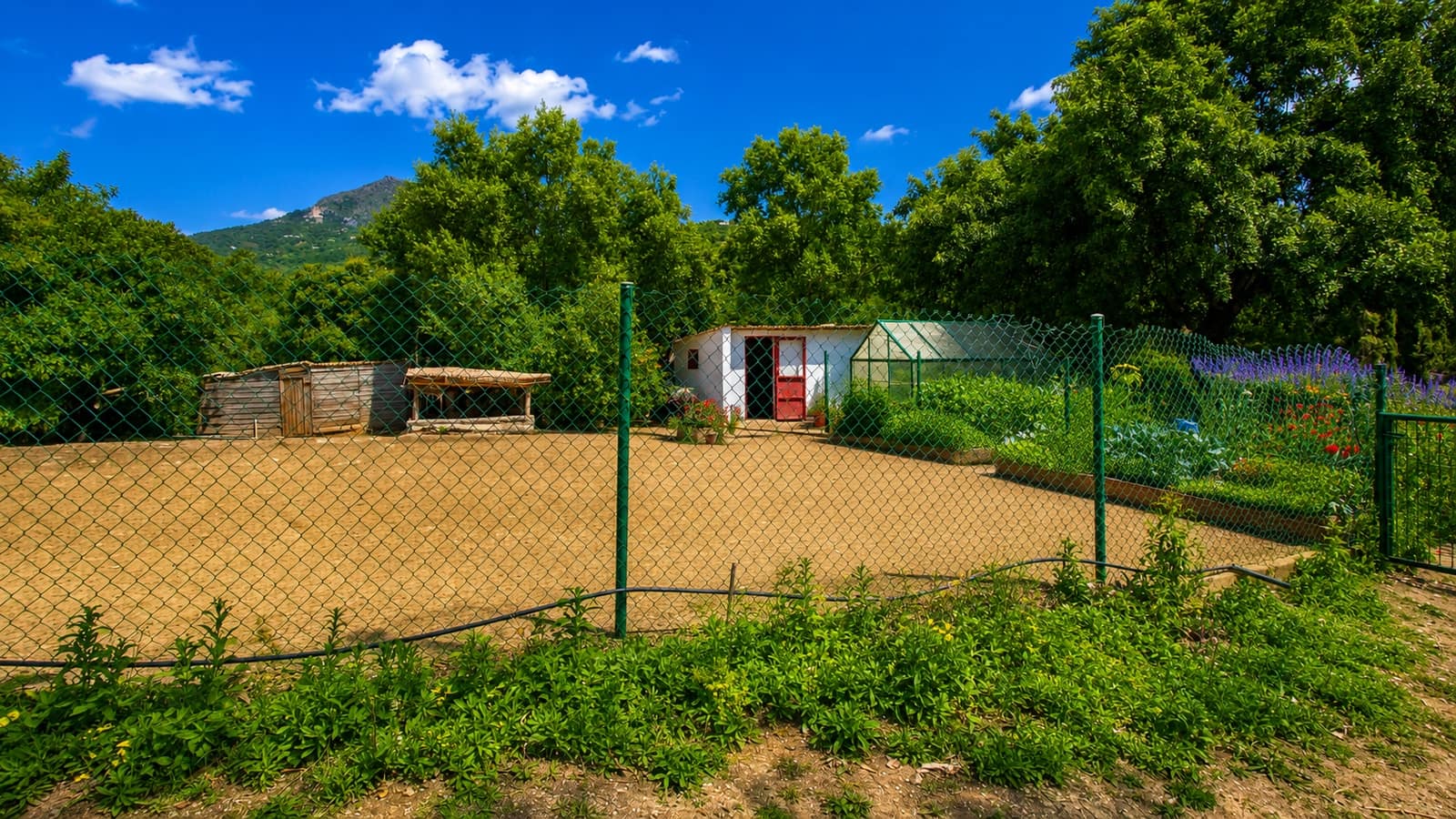 8 bedroom Finca/Country House for sale in Gaucin with pool garage - € 2,490,000 (Ref: 9974261)