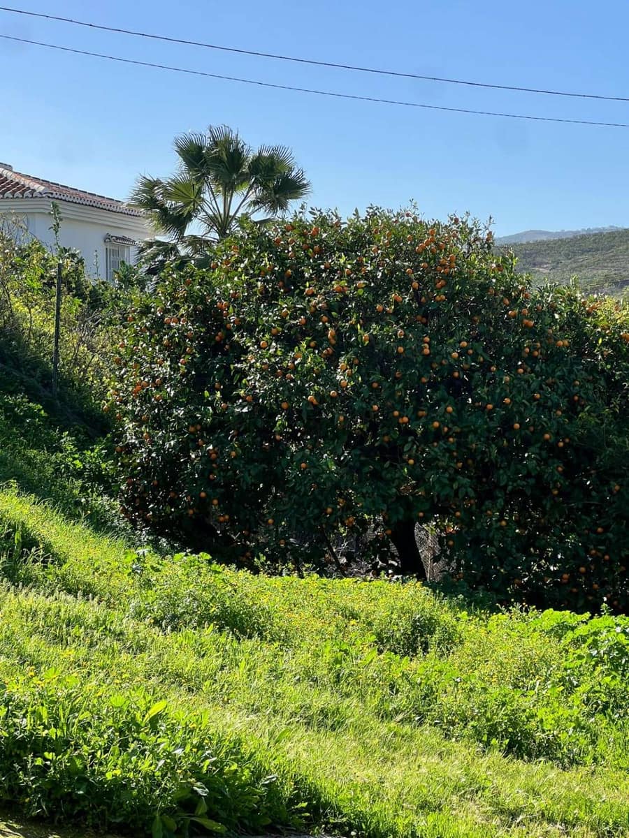 3 bedroom Finca/Country House for sale in Velez-Malaga with garage - € 310,000 (Ref: 10011813)