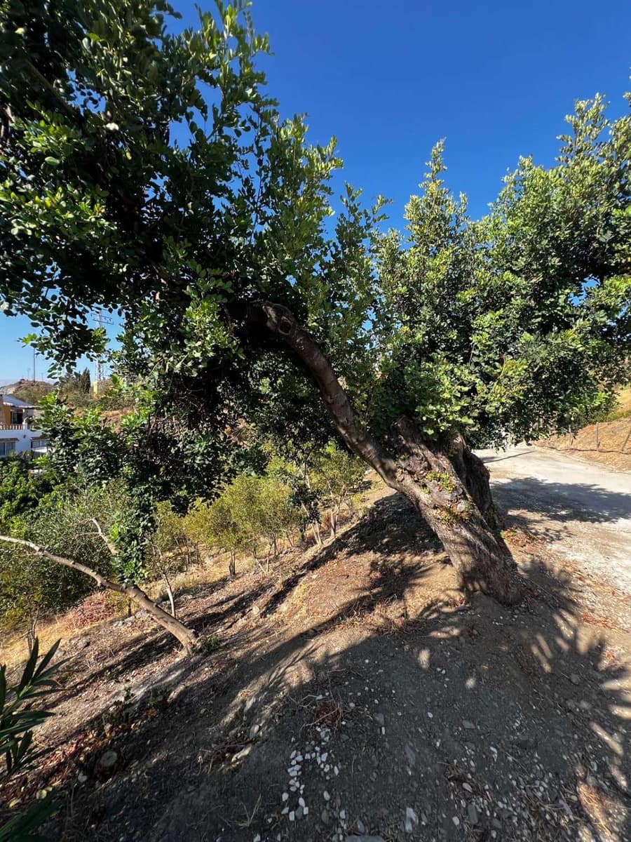 3 bedroom Villa for sale in Vinuela with pool - € 475,000 (Ref: 10011832)