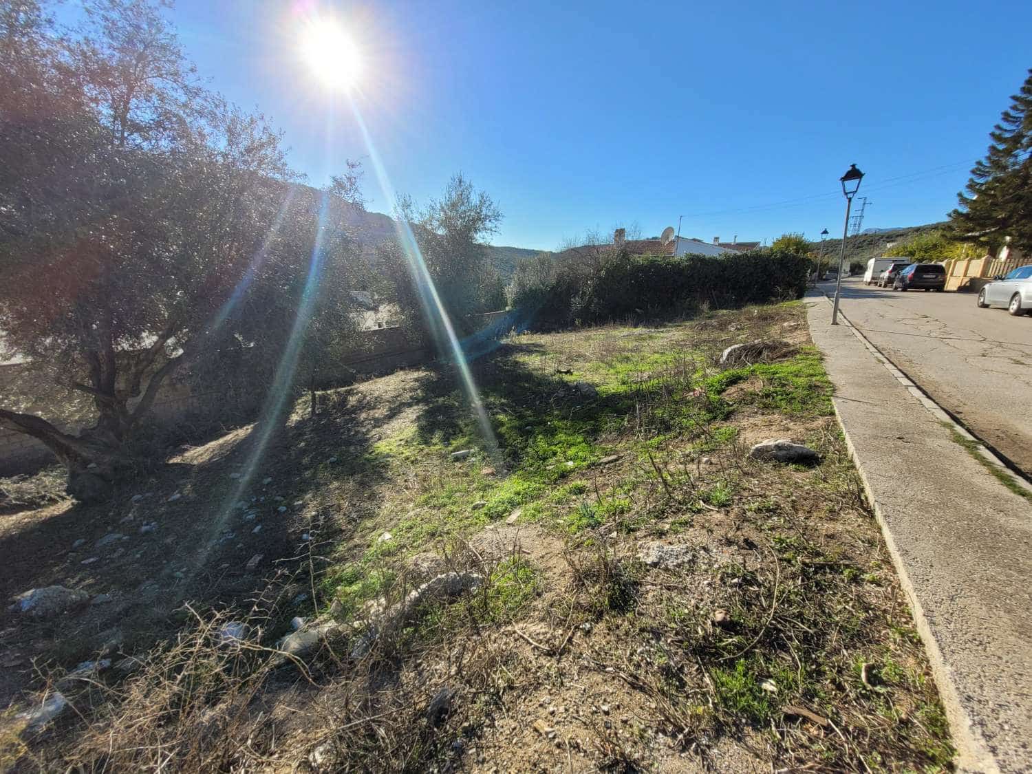 Building Plot for sale in Periana - € 66,000 (Ref: 10011841)