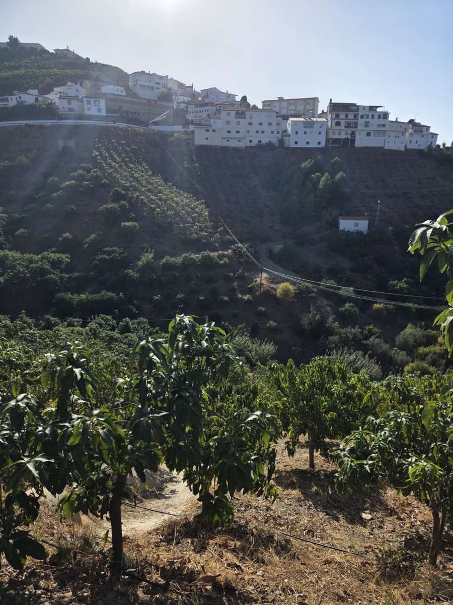 2 Zimmer Finca/Landgut zu verkaufen in Benamocarra mit Pool Garage - 495.000 € (Ref: 10011843)