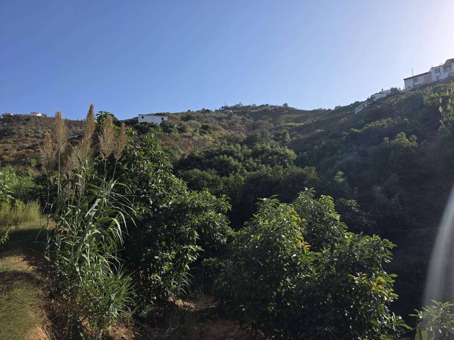 2 Zimmer Finca/Landgut zu verkaufen in Benamocarra mit Pool Garage - 495.000 € (Ref: 10011843)