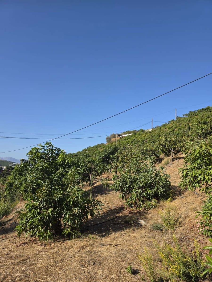 2 Zimmer Finca/Landgut zu verkaufen in Benamocarra mit Pool Garage - 495.000 € (Ref: 10011843)