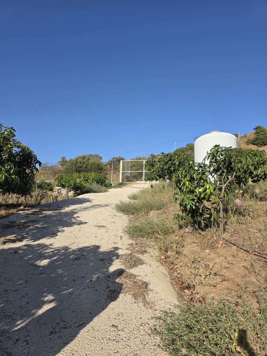 2 Zimmer Finca/Landgut zu verkaufen in Benamocarra mit Pool Garage - 495.000 € (Ref: 10011843)
