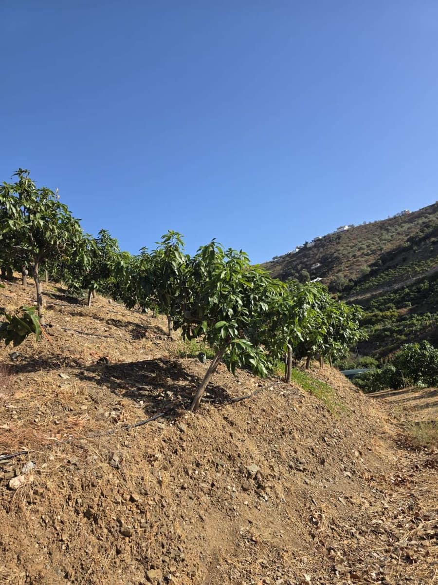 2 Zimmer Finca/Landgut zu verkaufen in Benamocarra mit Pool Garage - 495.000 € (Ref: 10011843)