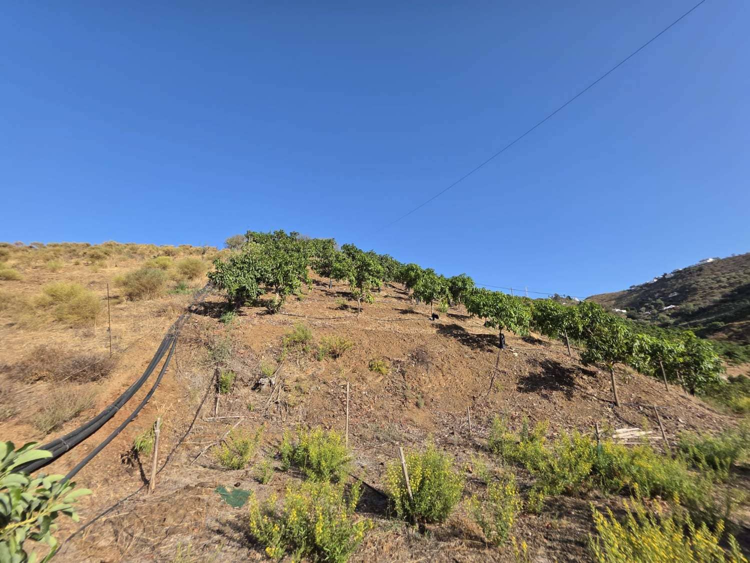 2 Zimmer Finca/Landgut zu verkaufen in Benamocarra mit Pool Garage - 495.000 € (Ref: 10011843)