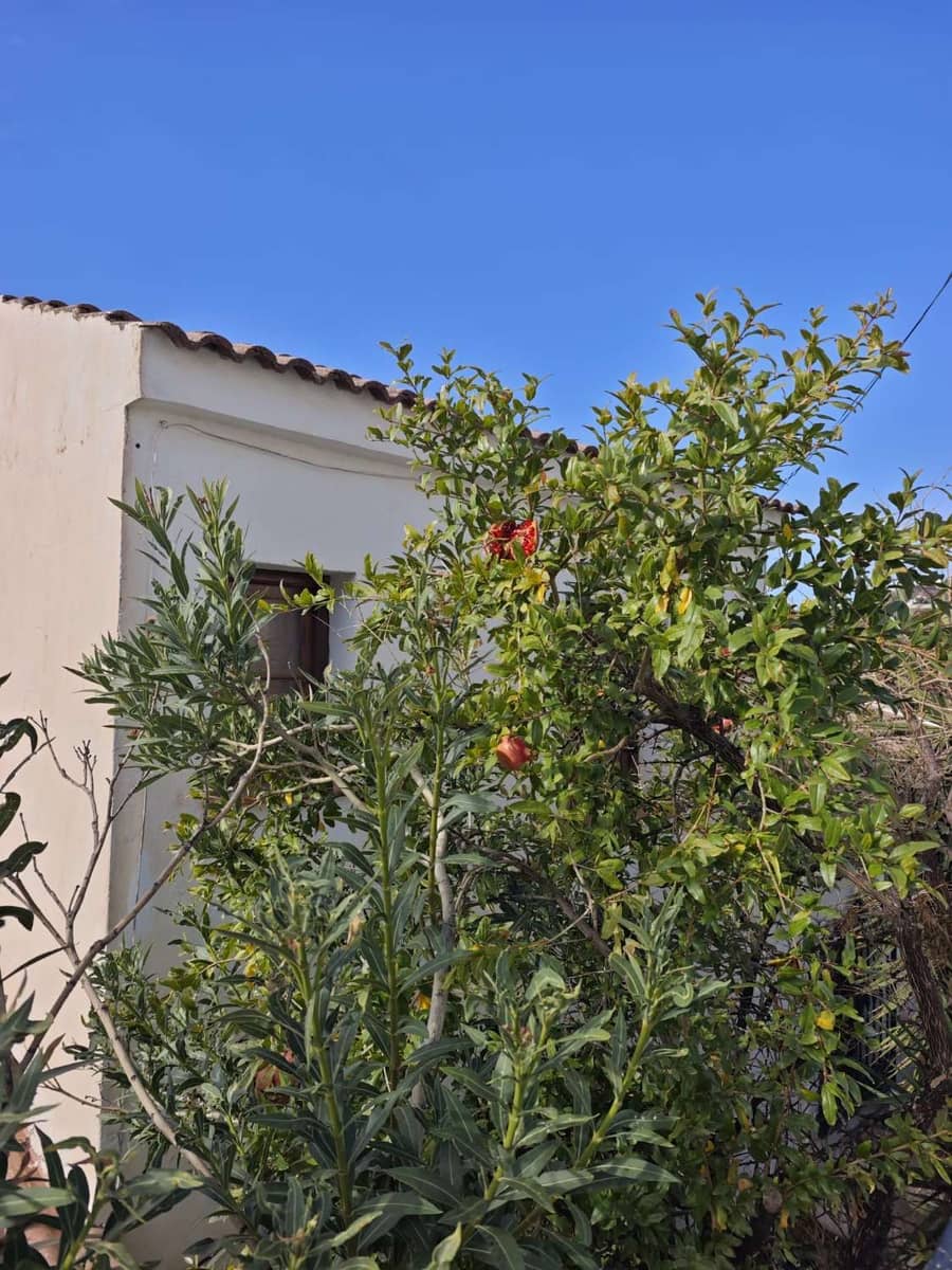 Solar/Parcela en Canillas de Albaida en venta - 140.000 € (Ref: 10179780)