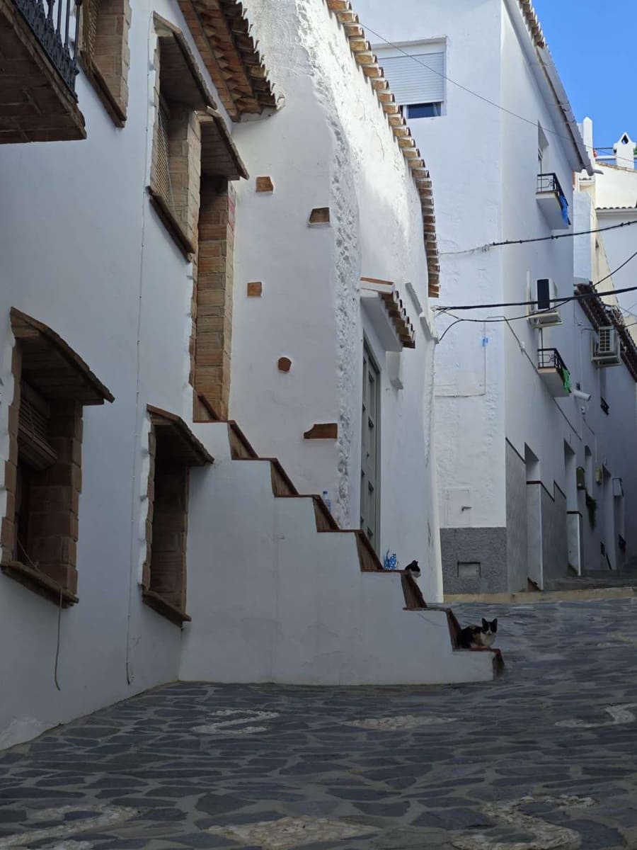 Solar/Parcela en Canillas de Albaida en venta - 140.000 € (Ref: 10179780)