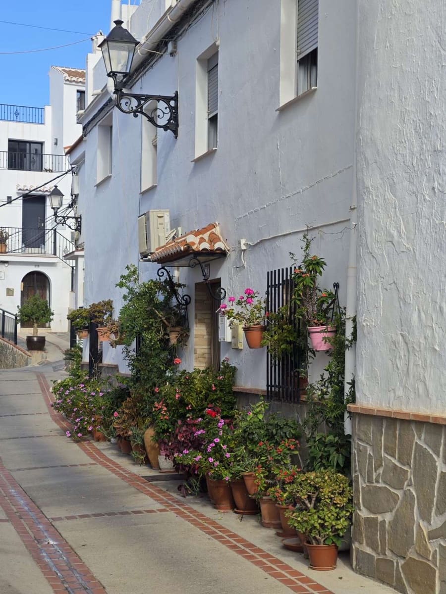 Solar/Parcela en Canillas de Albaida en venta - 140.000 € (Ref: 10179780)