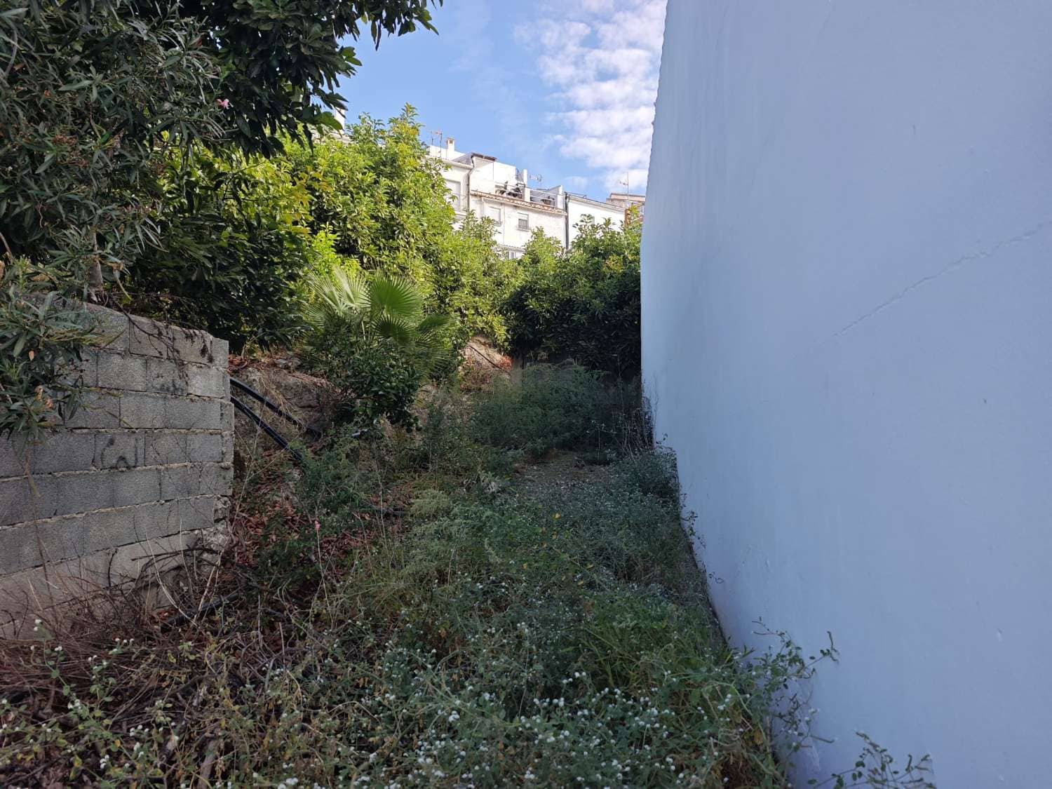 Solar/Parcela en Canillas de Albaida en venta - 140.000 € (Ref: 10179780)