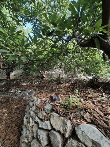 Solar/Parcela en Canillas de Albaida en venta - 140.000 € (Ref: 10179780)