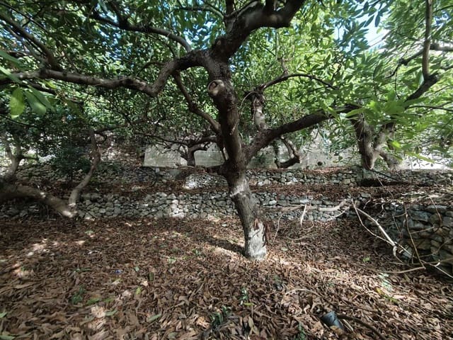 Solar/Parcela en Canillas de Albaida en venta - 140.000 € (Ref: 10179780)
