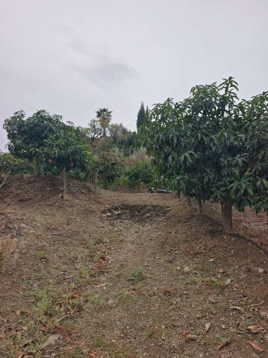 1 bedroom Finca/Country House for sale in Benajarafe with pool - € 370,000 (Ref: 10182439)