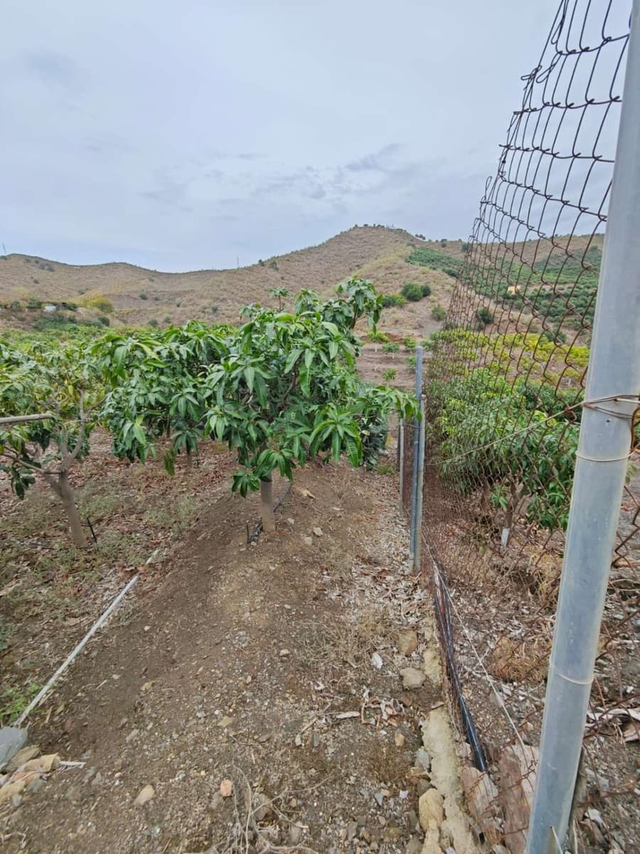 1 bedroom Finca/Country House for sale in Benajarafe with pool - € 370,000 (Ref: 10182439)