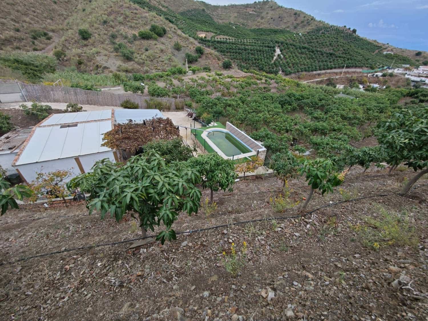 1 bedroom Finca/Country House for sale in Benajarafe with pool - € 370,000 (Ref: 10182439)