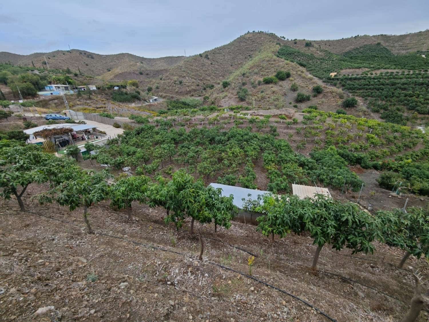 1 bedroom Finca/Country House for sale in Benajarafe with pool - € 370,000 (Ref: 10182439)