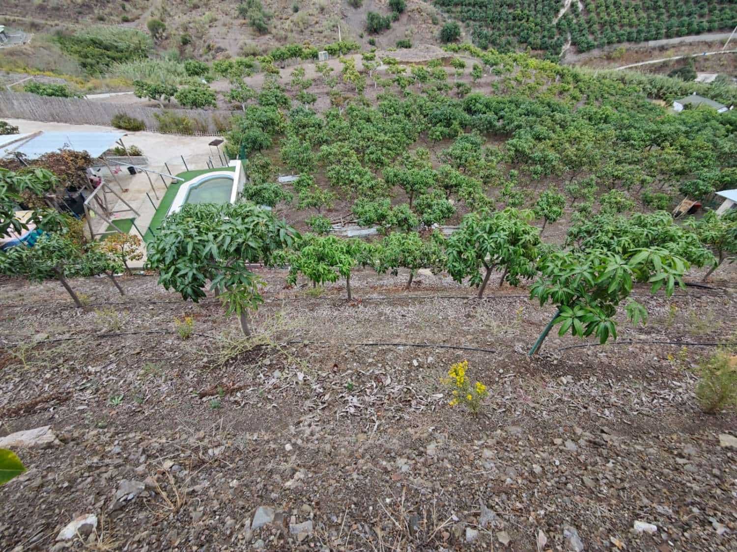 1 bedroom Finca/Country House for sale in Benajarafe with pool - € 370,000 (Ref: 10182439)