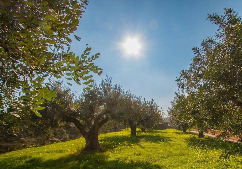 4 bedroom Finca/Country House for rent in Teulada with pool garage - € 3,000 (Ref: 10102631)
