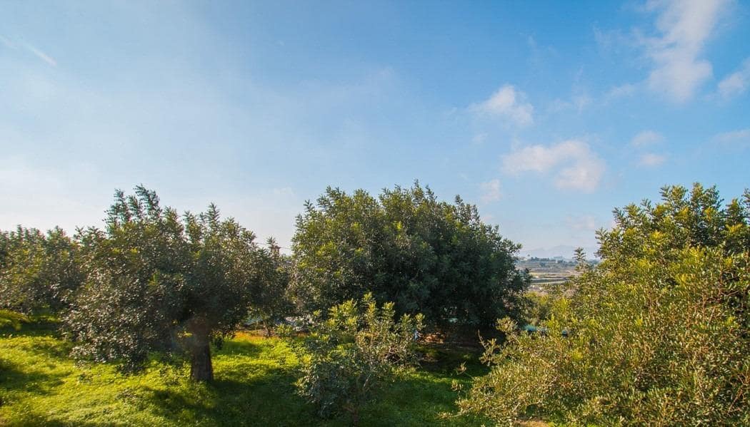 4 bedroom Finca/Country House for rent in Teulada with pool garage - € 3,000 (Ref: 10102631)