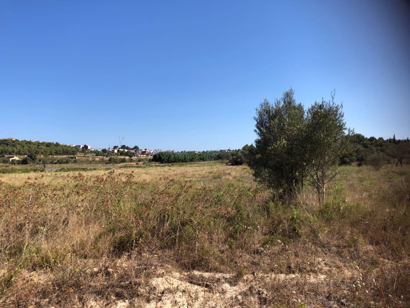 Terreno Non Edificato in vendita in Teulada - 890.000 € (Rif: 6160513)
