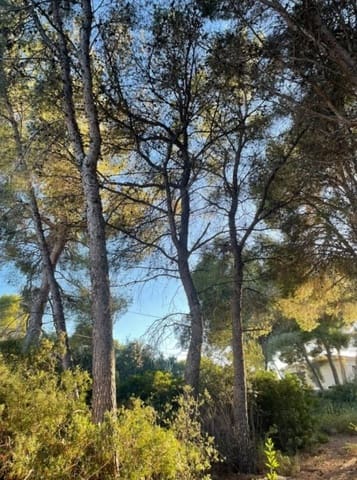 Bouwgrond te koop in Benissa - € 199.995 (Ref: 8287026)