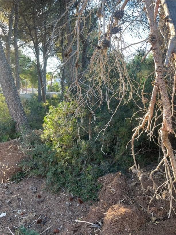 Bouwgrond te koop in Benissa - € 199.995 (Ref: 8287026)