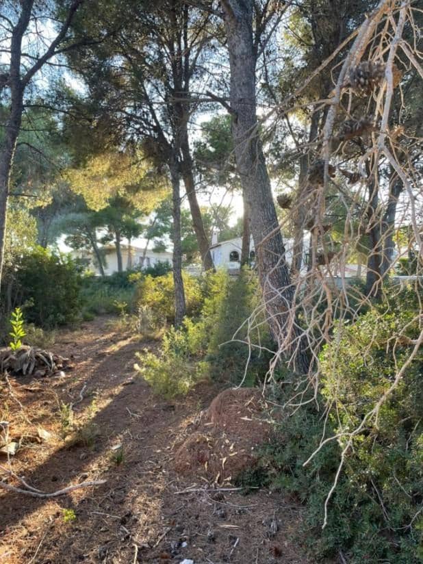 Bouwgrond te koop in Benissa - € 199.995 (Ref: 8287026)