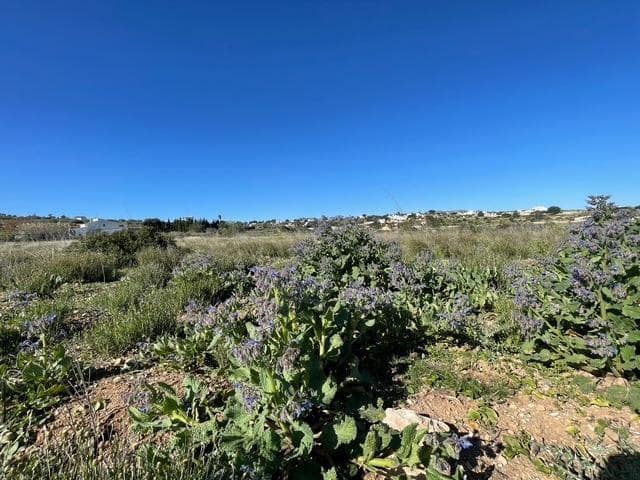 Building Plot for sale in Teulada Pueblo, Teulada-Moraira - € 790,000 (Ref: 9738542)