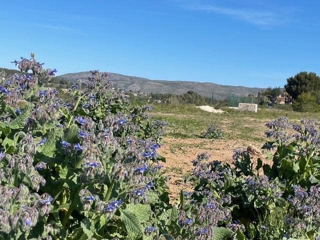 Building Plot for sale in Teulada Pueblo, Teulada-Moraira - € 790,000 (Ref: 9738542)