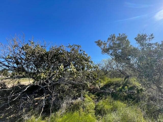 Building Plot for sale in Teulada Pueblo, Teulada-Moraira - € 790,000 (Ref: 9738542)