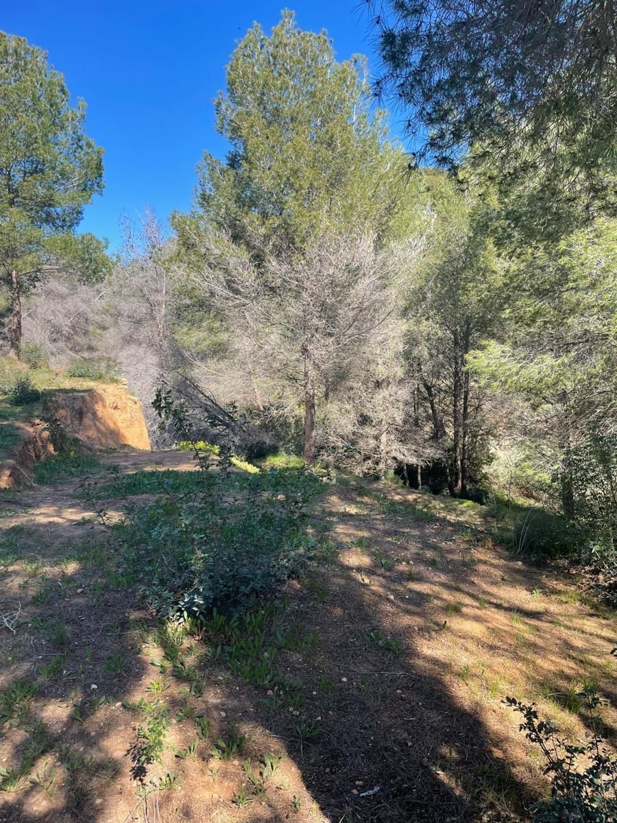 Building Plot for sale in Benissa - € 275,000 (Ref: 9791030)