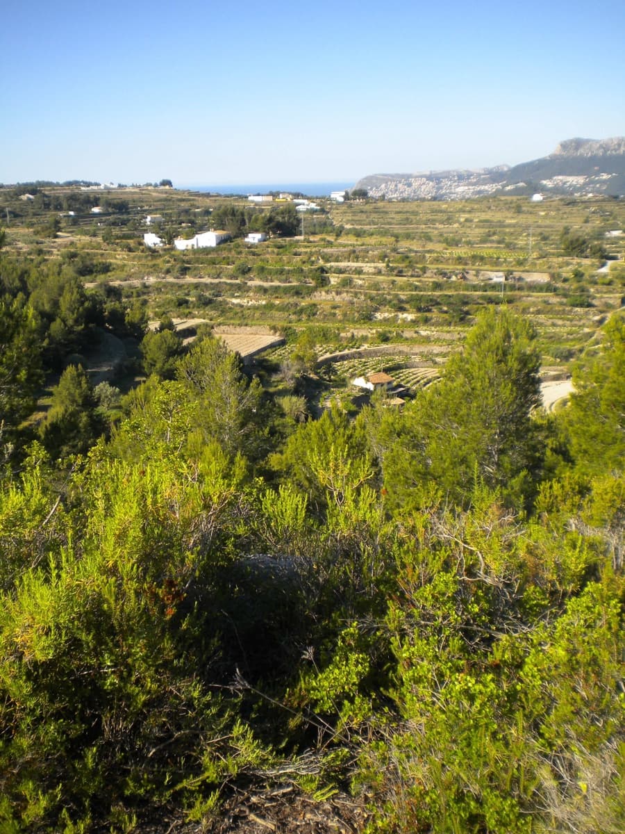 Building Plot for sale in Benissa - € 180,000 (Ref: 7271125)